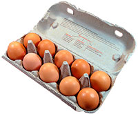 huevos