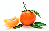 mandarina