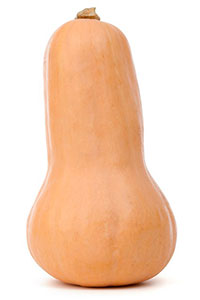 zapallo